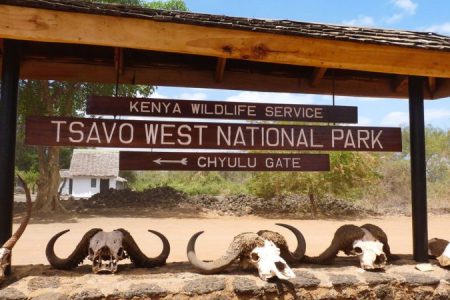 The Hidden Treasures of Kenya’s Tsavo West National Park 2023.