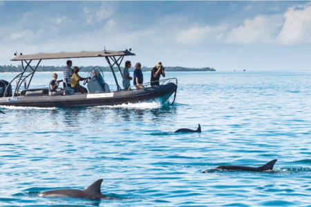 Wasini Island Dolphin